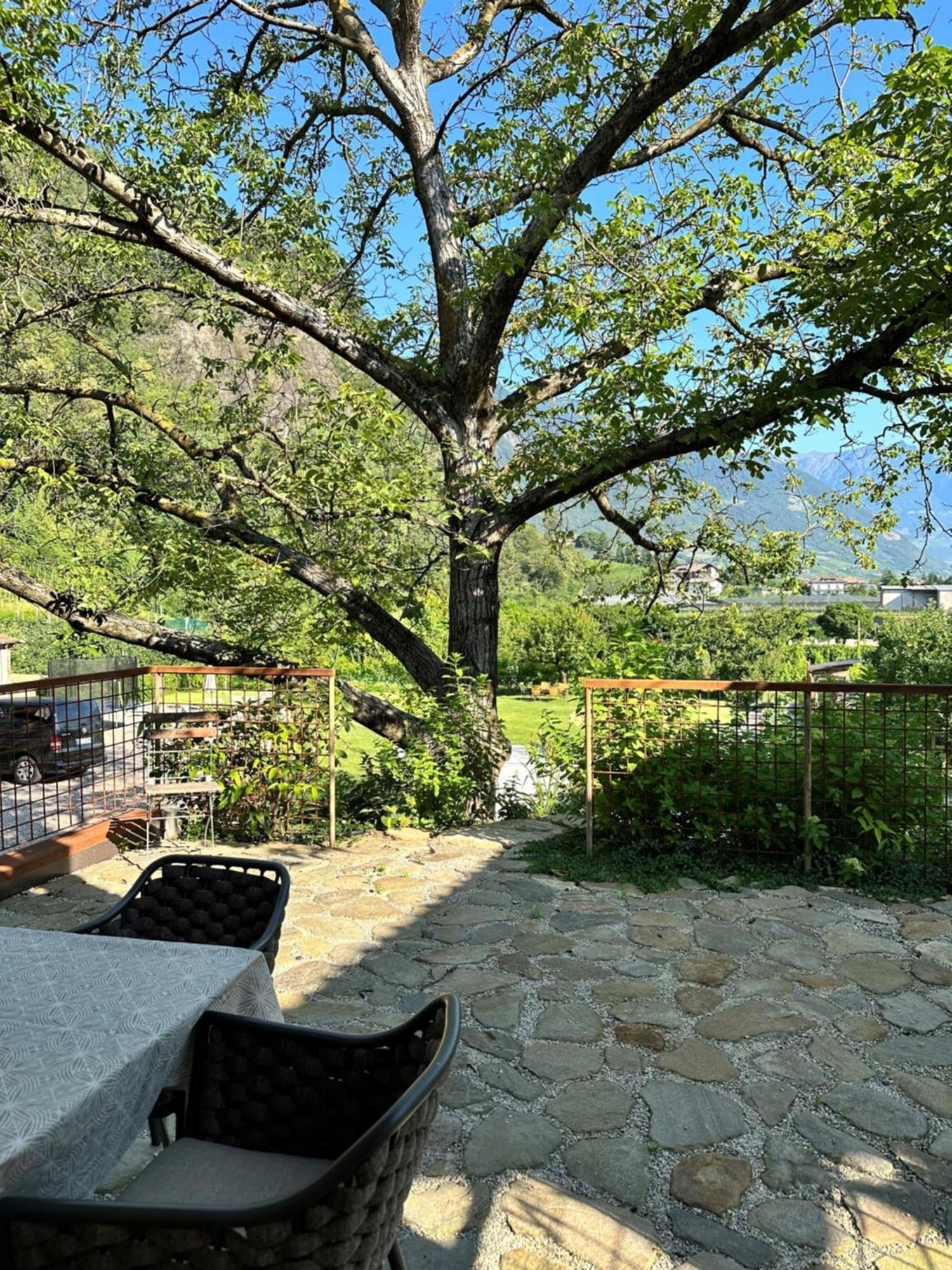 Breitenberg Apartment *